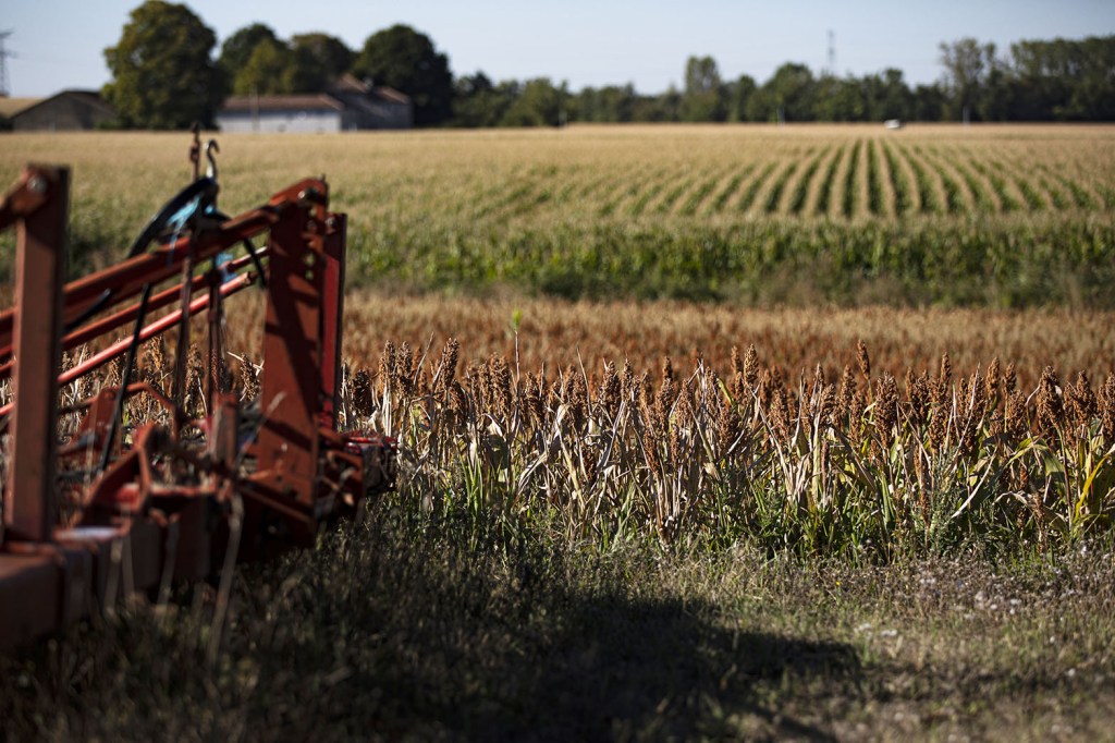SCEA - Granvillage Décrypte - exploitation agricole