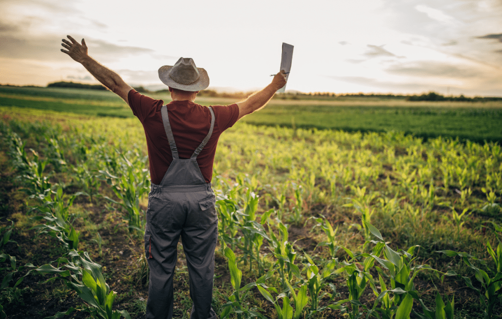 agriculteur dans son champ