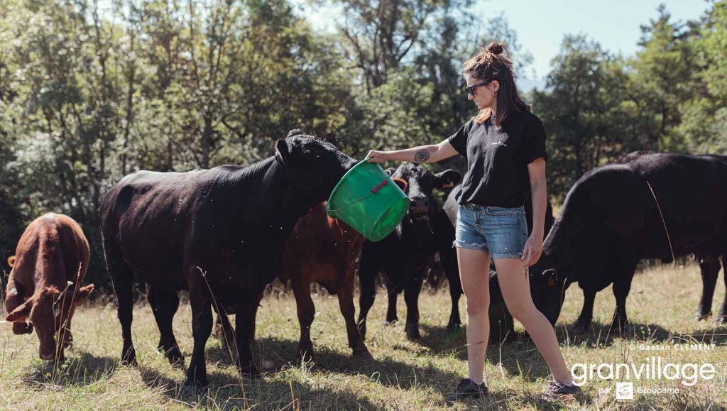 Amandine Vial - l'angus et la plume