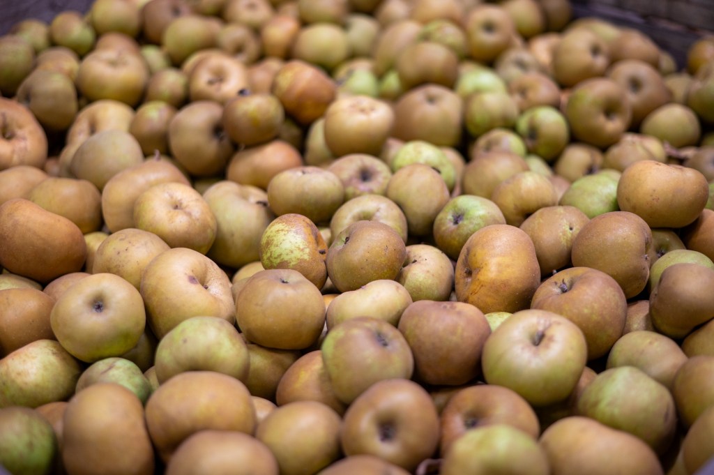 Activités de maraichage à l'EARL Berthet
