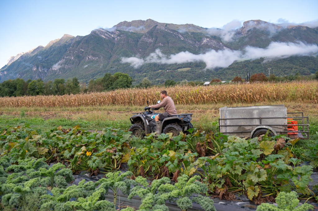 un agriculteur dans son champs